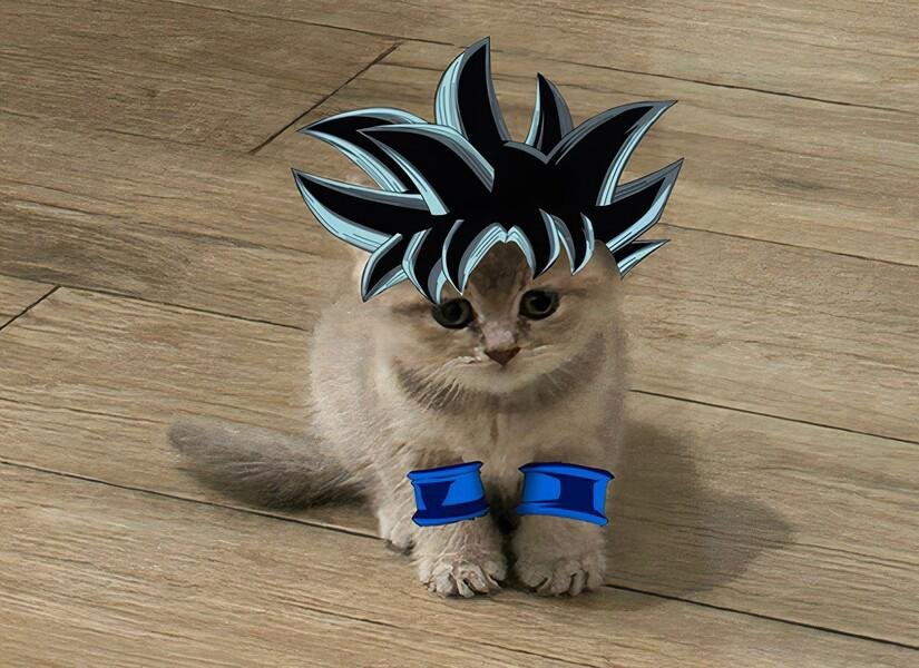 MIA Cat