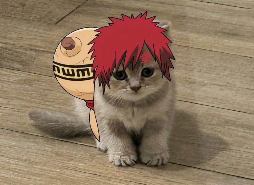 MIA Cat